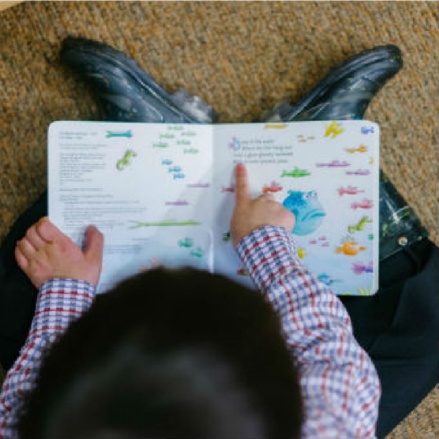 person reading a children's book