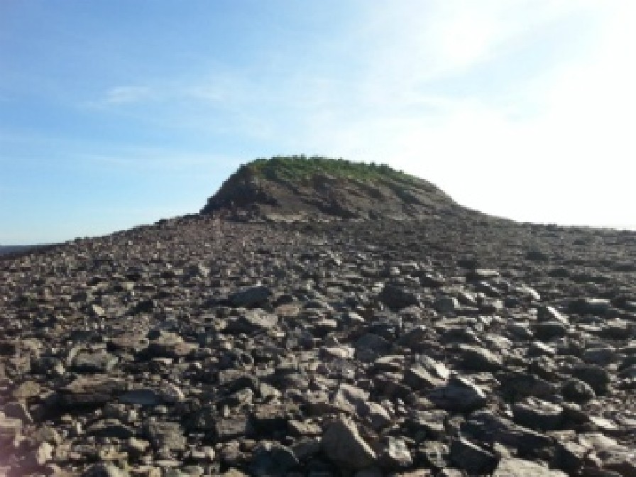 denny island close-up with the tide out