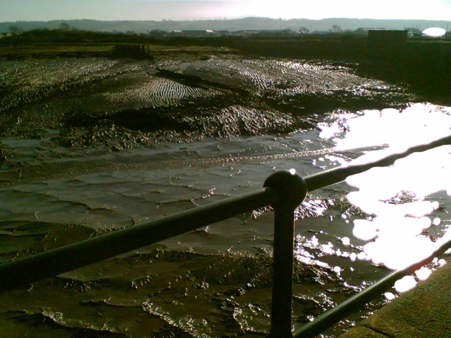 view of the estuary mud near what3words corkscrew, belly, dugout in Portishead