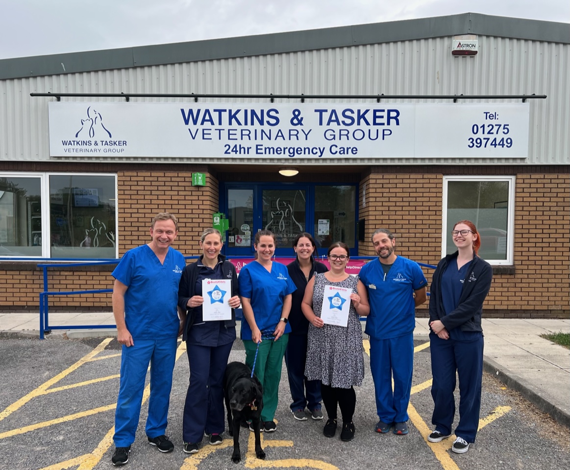 staff and offices of Watkins and Tasker Vets, Portishead